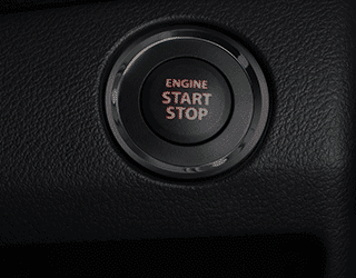 Push Start/Stop Button